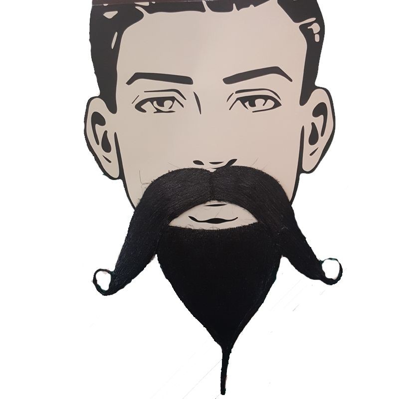 Siyah Renk Filozof Takma Sakal ve Bıyık Seti-756