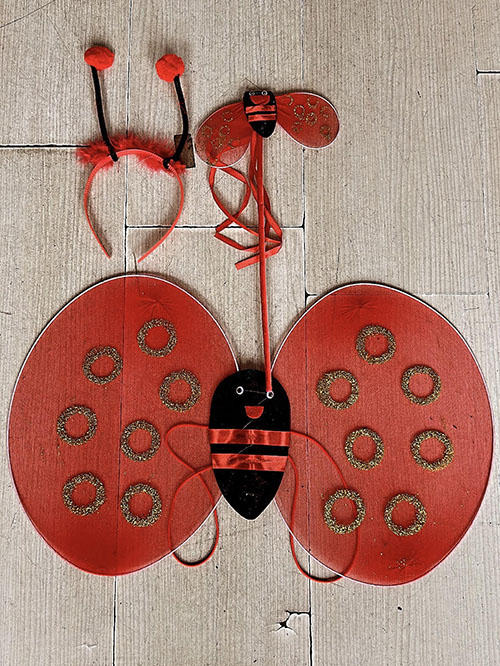 Uğur Böceği Kanat Seti Kanadı Tacı ve Asası Çocuk Boy