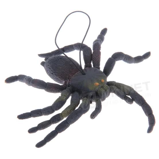 Yumuşak Plastik Malzemeden İmal Karışık Renk Tarantula Örümcek 6 Adet 13x13 cm
