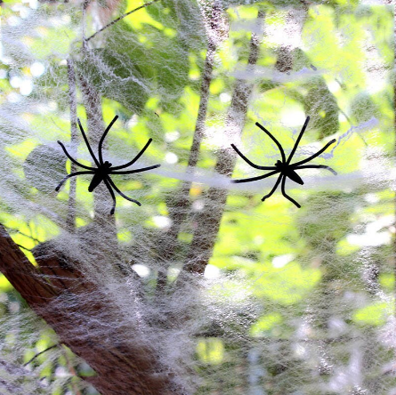 Beyaz Renk Örümcek Ağ ve Siyah Örümcekler Seti 20 gr