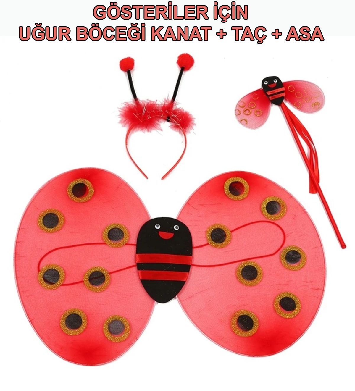 Uğur Böceği Kanat Seti Kanadı Tacı ve Asası Çocuk Boy