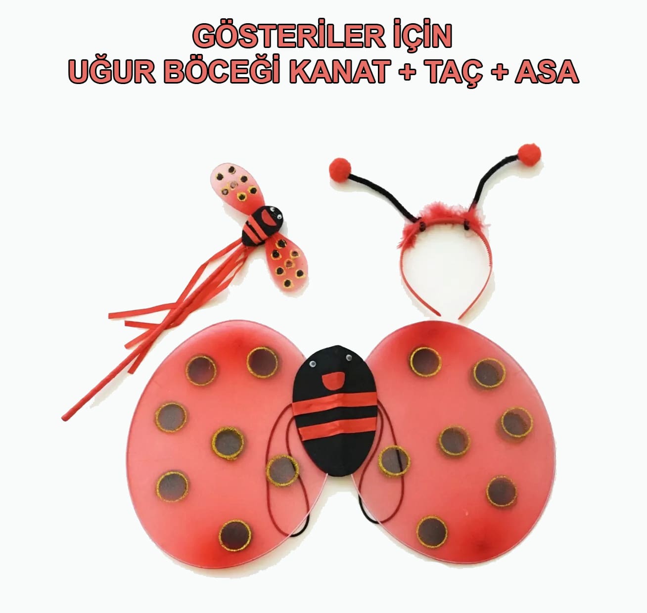 Uğur Böceği Kanat Seti Kanadı Tacı ve Asası Çocuk Boy