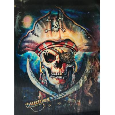 3 Boyutlu Resim 3 Farklı Resim Değişenli Korsan Tablosu 30x40 cm