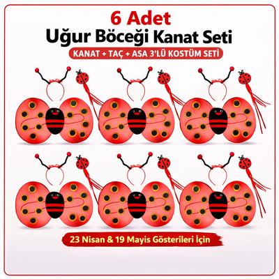 6'lı Uğur Böceği Kostüm Seti – Kanat Taç Asa