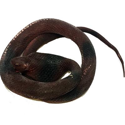 Kahve Renk Yassı Kafa Yumuşak Gerçekçi Kobra Yılan 95 cm