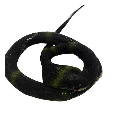 Siyah Renk Yassı Kafa Yumuşak Gerçekçi Kobra Yılan 95 cm