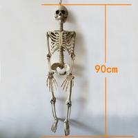 İnsan Vücudu İskelet Kemik Dekor 90 cm