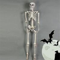 İnsan Vücudu İskelet Kemik Dekor 90 cm